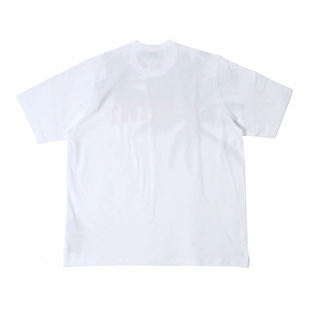 s74gd1098 / DSQUARED2 メンズ 半袖カットソー